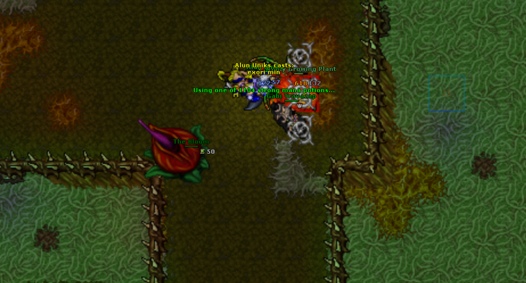 Tibia Podzilla #SU24 - The Rise of Podzilla Quest - Parte 1 - Tibia Life