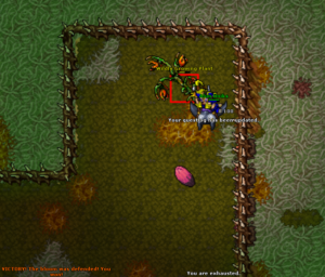 Tibia Podzilla #SU24 - The Rise of Podzilla Quest - Parte 1 - Tibia Life