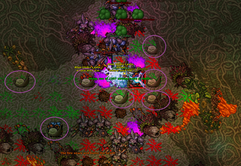 Tibia Podzilla #SU24 - The Rise of Podzilla Quest - Parte 1 - Tibia Life